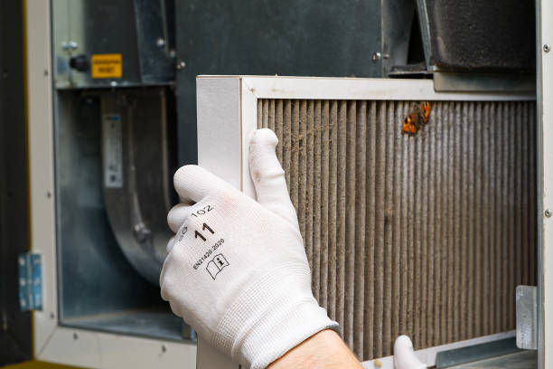 Best Air Quality Test  in Arcola, VA